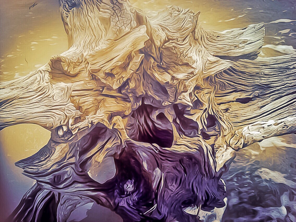 Jim Zola is a poet and photographer living in North Carolina. This image is driftwood on Jekyll Island, Georgia presented through photo filters.