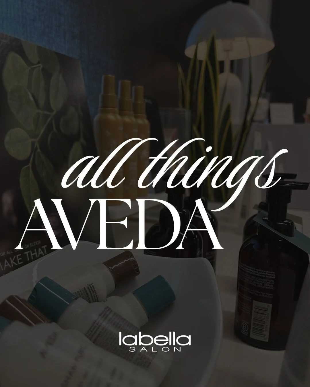 Did you know that Labella Salon is the only exclusive AVEDA retailer in our area? &mdash; Come discover for yourself why Aveda products have the elevated reputation that they do.🖤