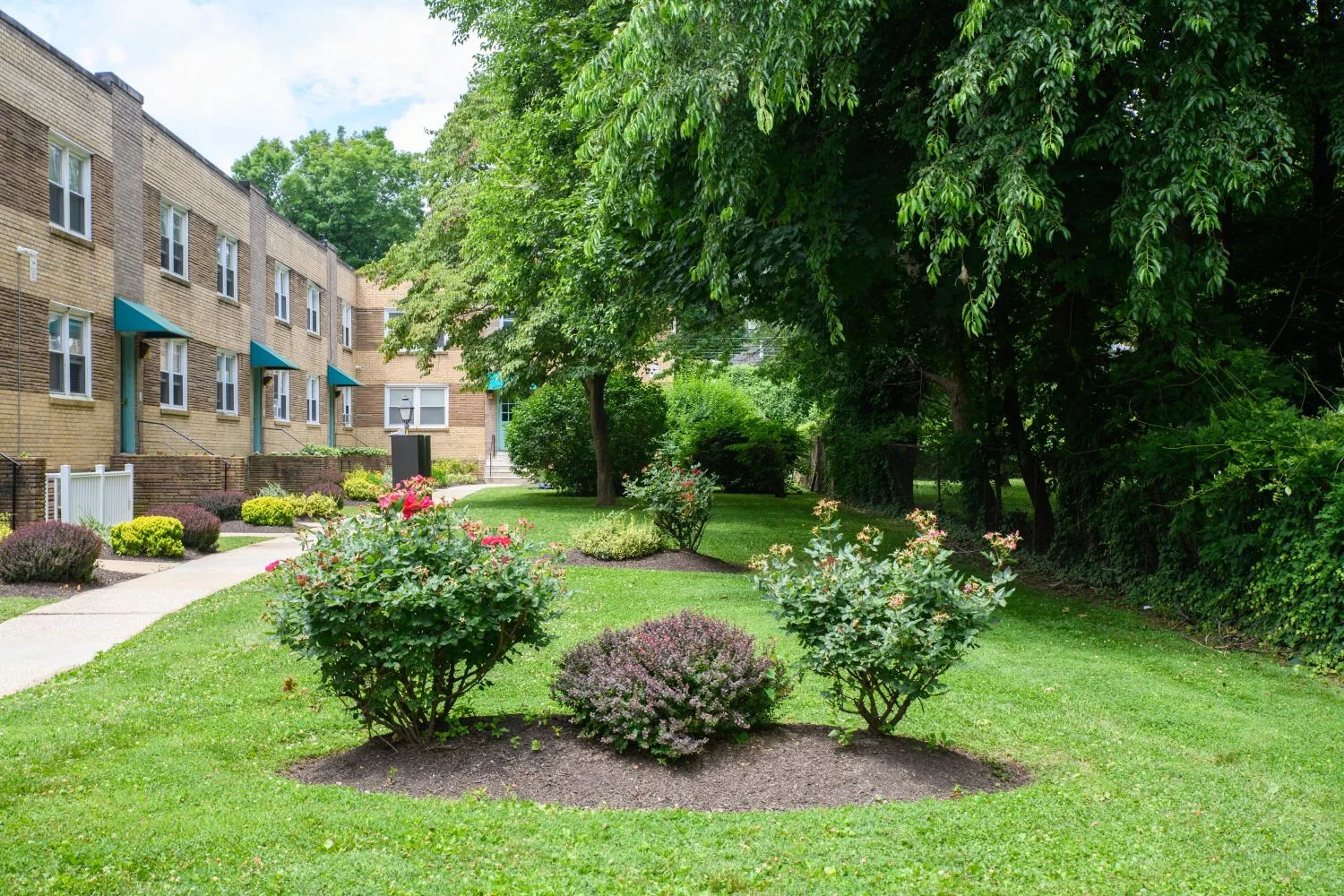 Apartments for Rent in Philadelphia Mount Airy, Chestnut Hill