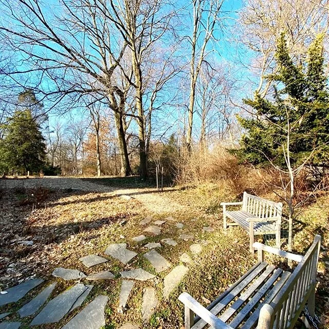 Imagine grabbing a fresh cup of coffee and having this as your morning view! Beautiful, spacious apartment right on the grounds of @awburyarboretum 🌞🍁🍂#apartment #phillyrentalhome #rent #rentalproperty #philadelphia #215 #tranquility #somuchspace 