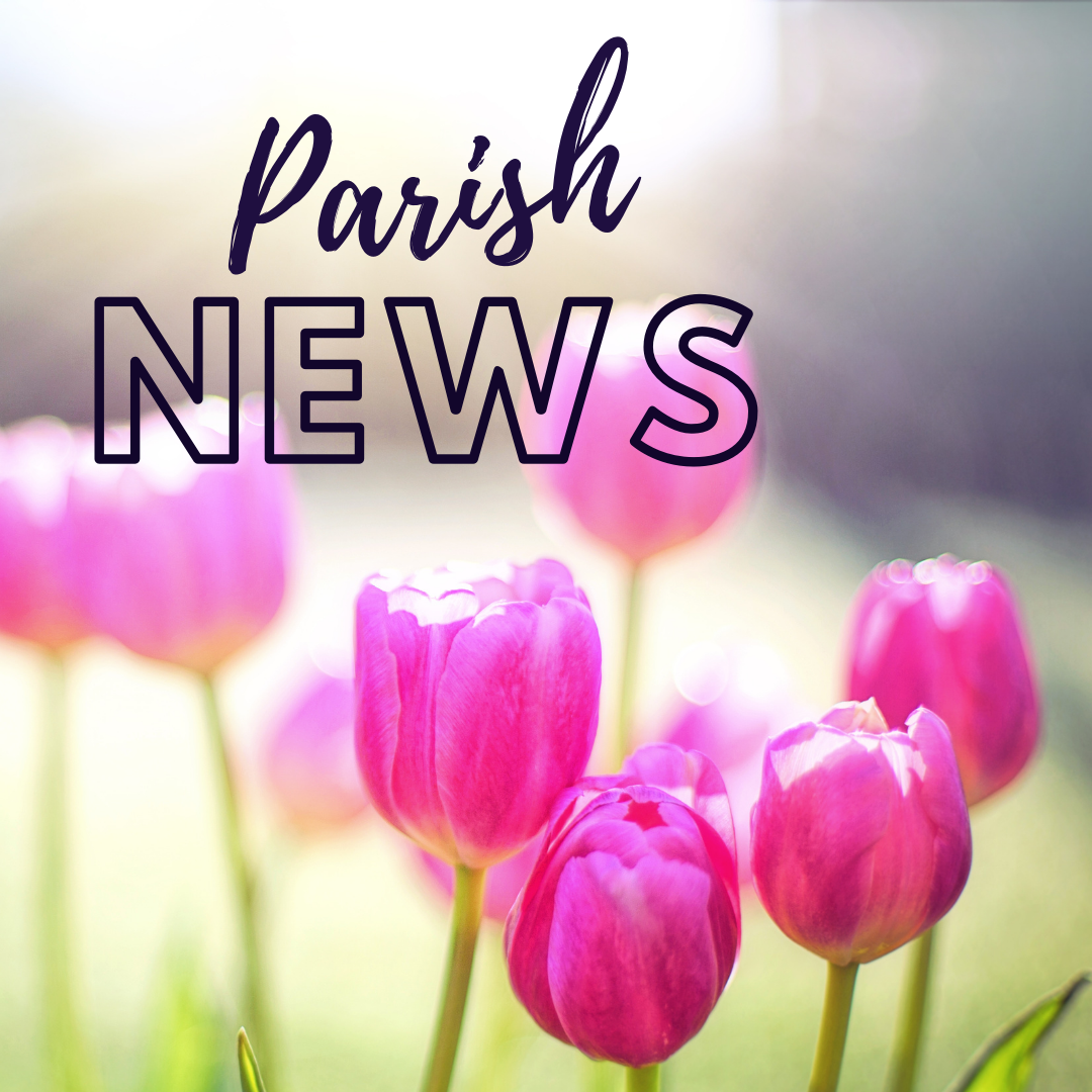 Nativity of Our Lord Parish