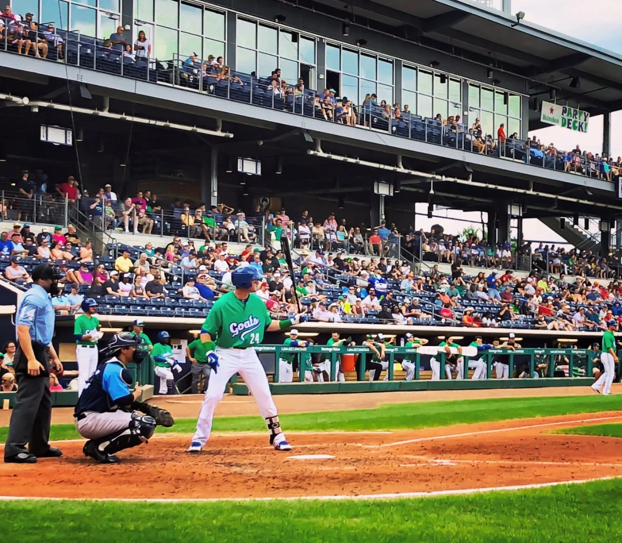 yard goats 1.jpg