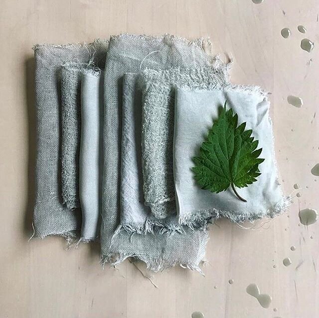We love these soft greens so it&rsquo;s time to go nettle hunting and try out the recipe from @rebeccadesnos 
Must remember the gardening gloves 🧤 
Posted @withregram &bull; @rebeccadesnos Now is the perfect time for nettle dyeing 🌿✨ Early spring n