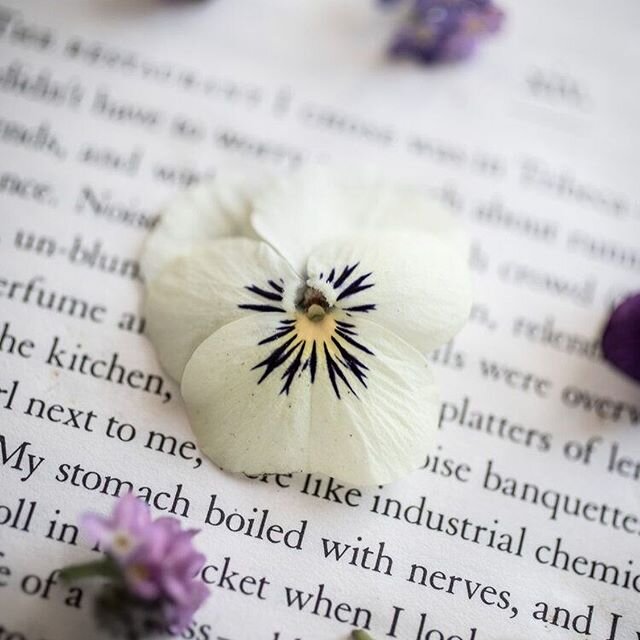 Last week we received a super sweet project on pressing spring flowers from @91magazine ⠀
⠀
We picked a few bluebells from the garden to try out. It's the perfect activity for a sunny afternoon, here's what they said...⠀
⠀
Spring is just around the c