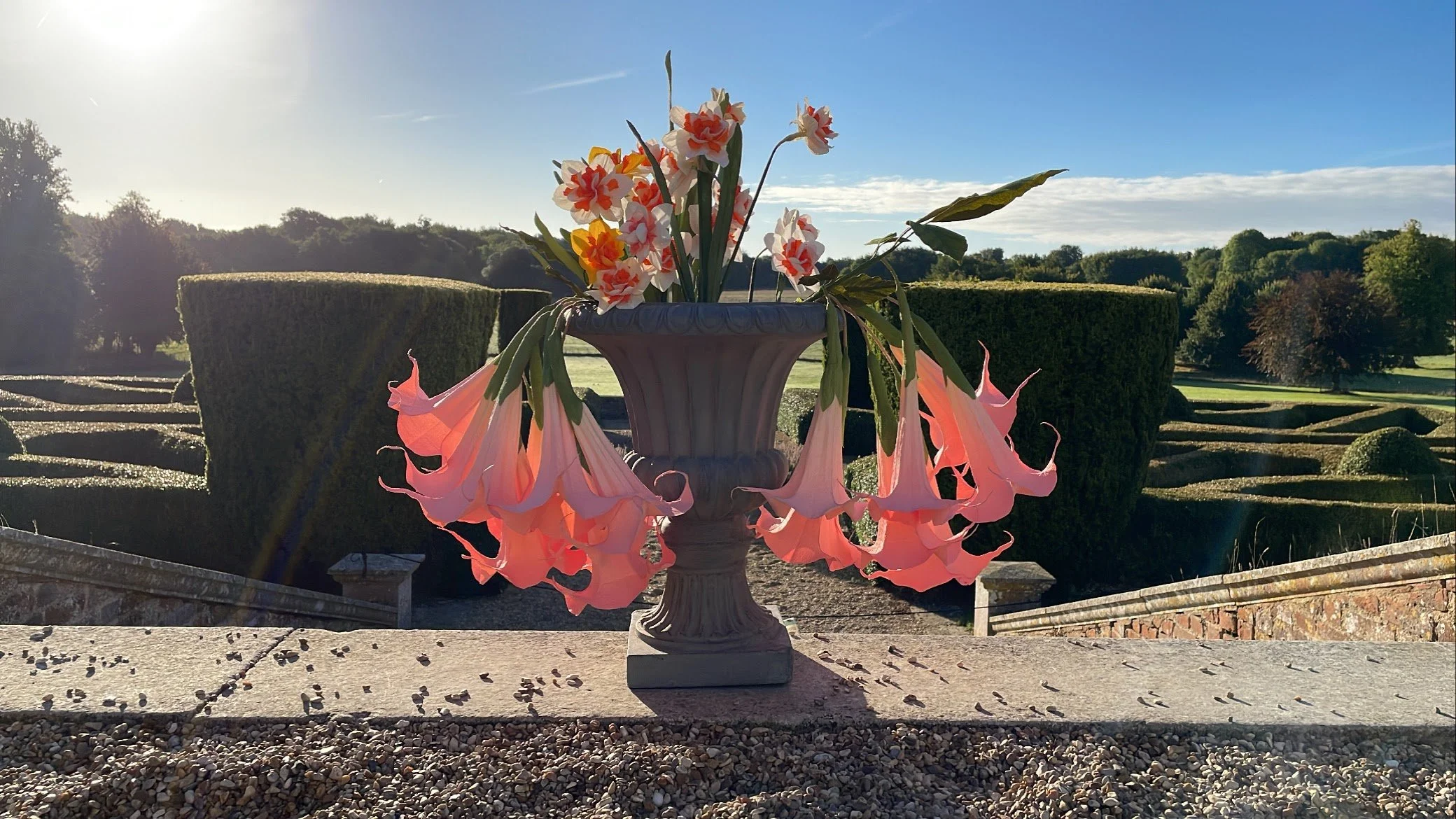 Brugansia landscape .jpg