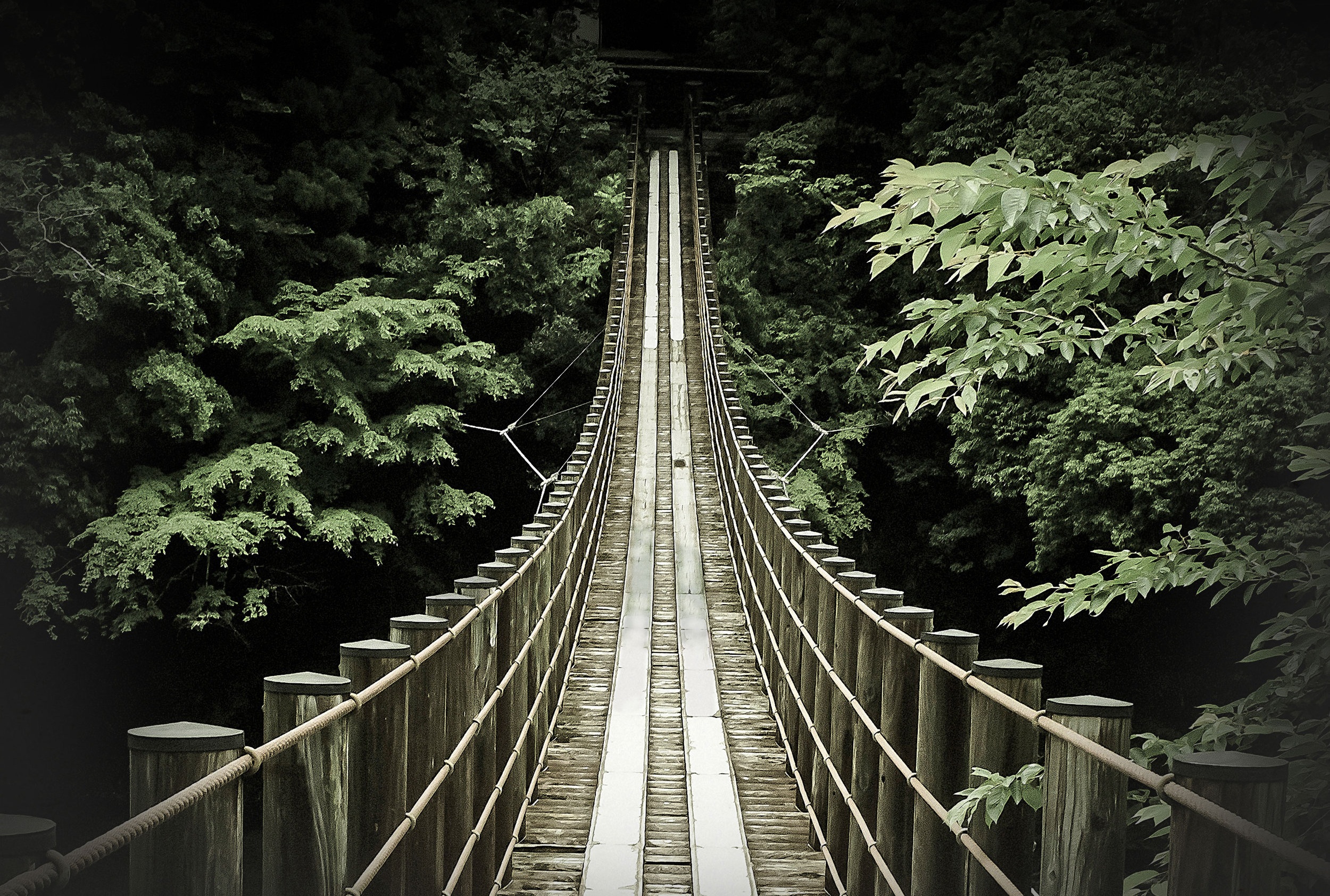 RSK_cover_image.jpg