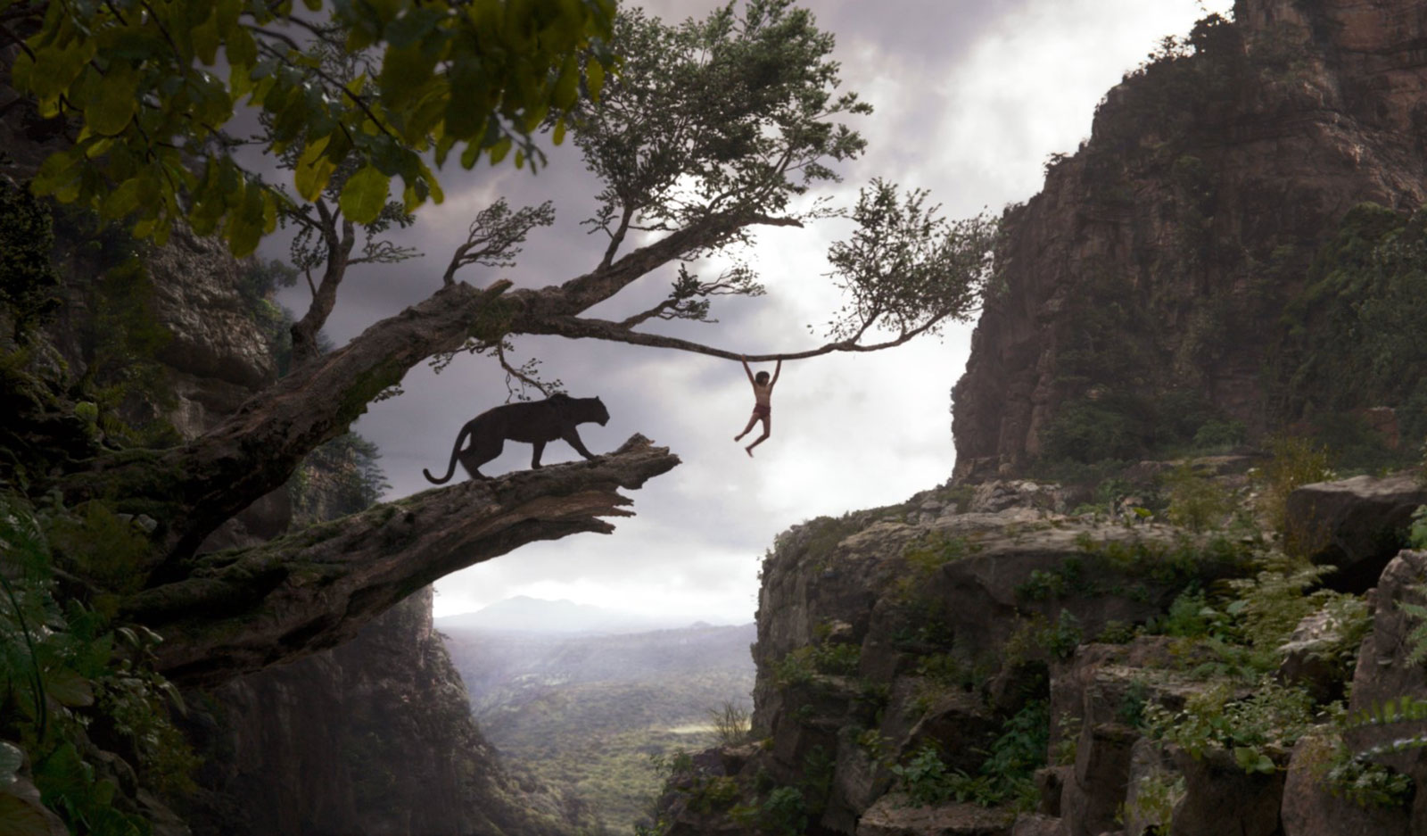 "The Jungle Book"