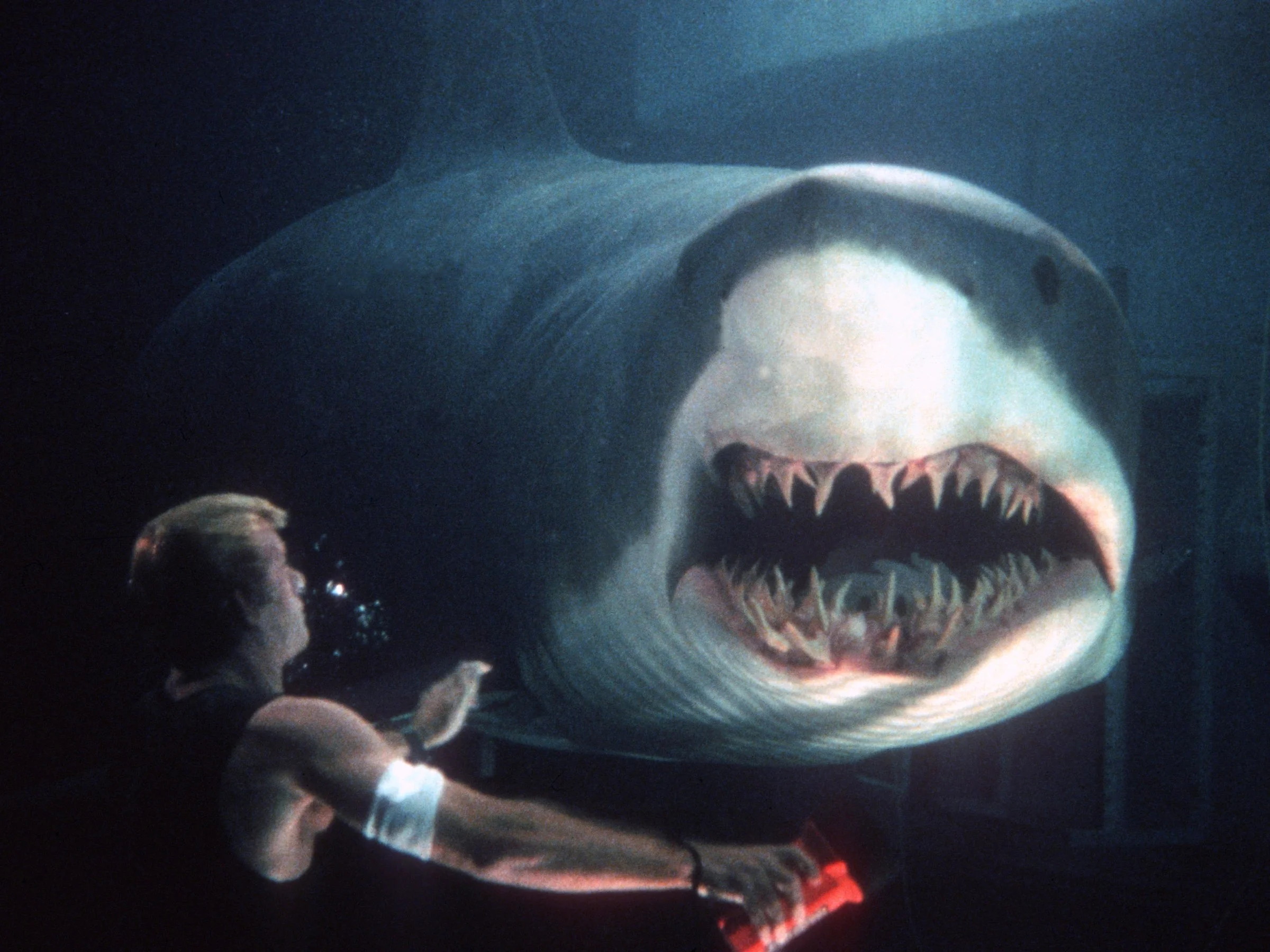 "Deep Blue Sea"