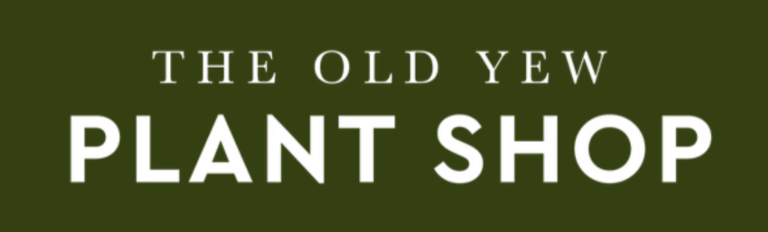 theOldYewPlantShop.png