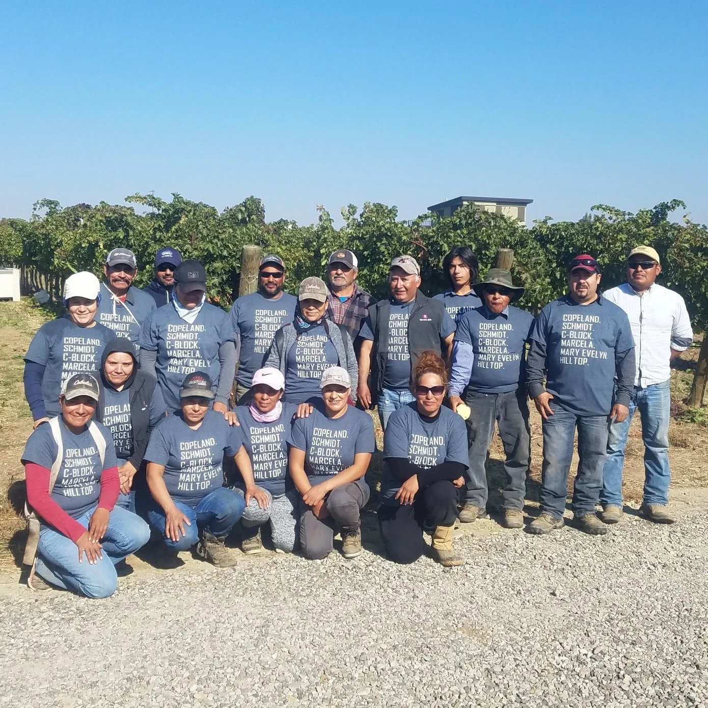 Nothing happens without our amazing vineyard crew.