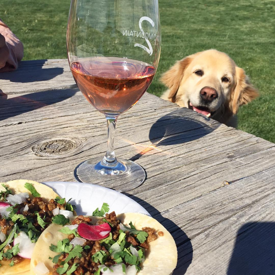 Rosé Release (Public)