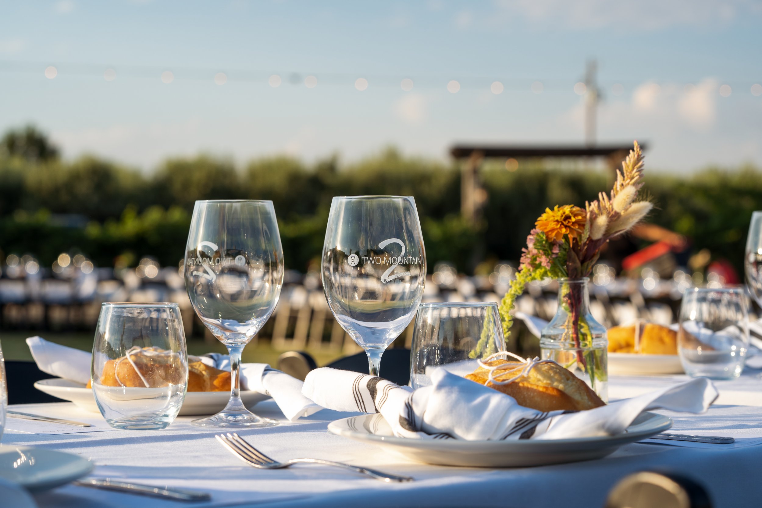 SOLD OUT! Friends + Family Summer Reunion (Wine Club Only)
