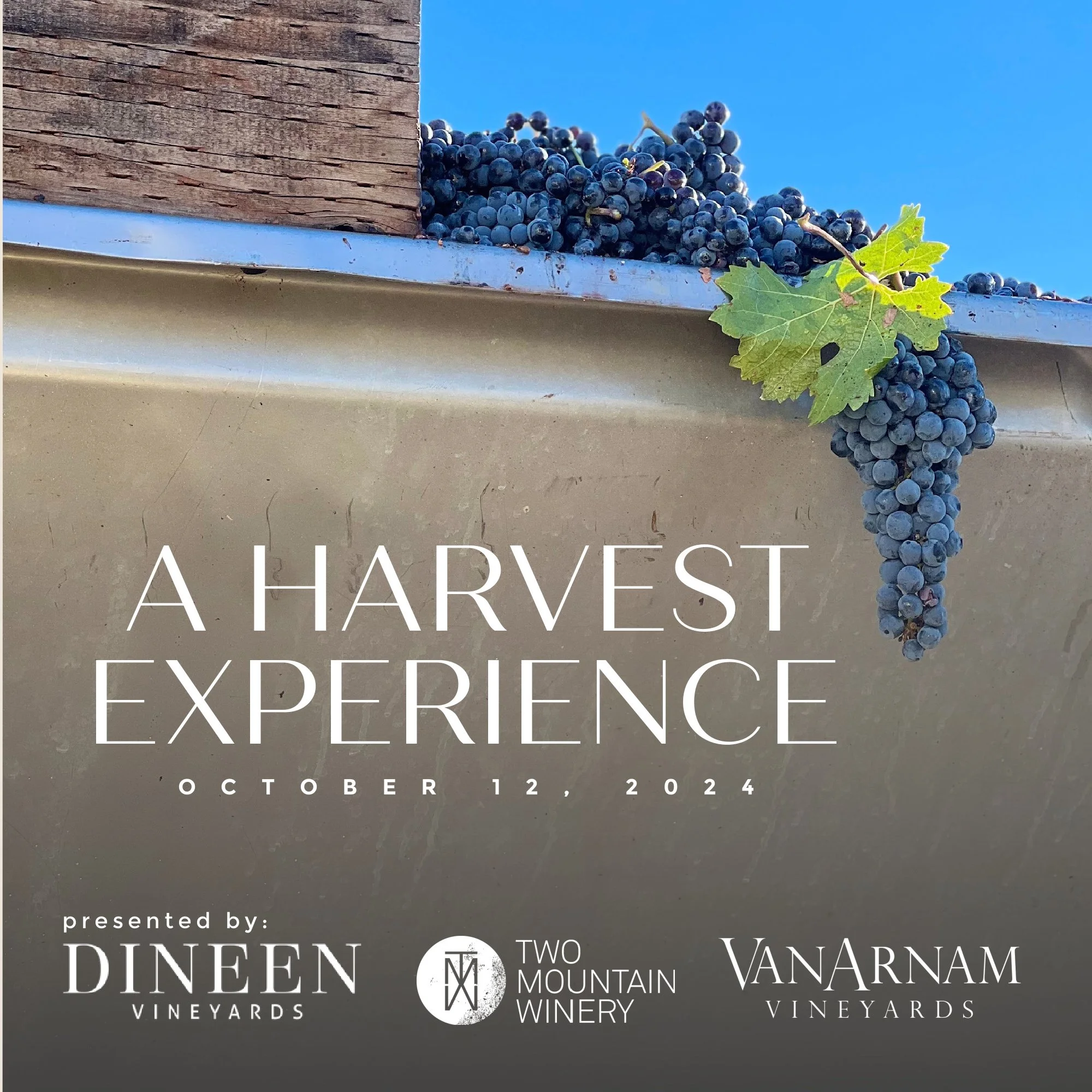 SOLD OUT! A Harvest Experience: the art and science of making wine