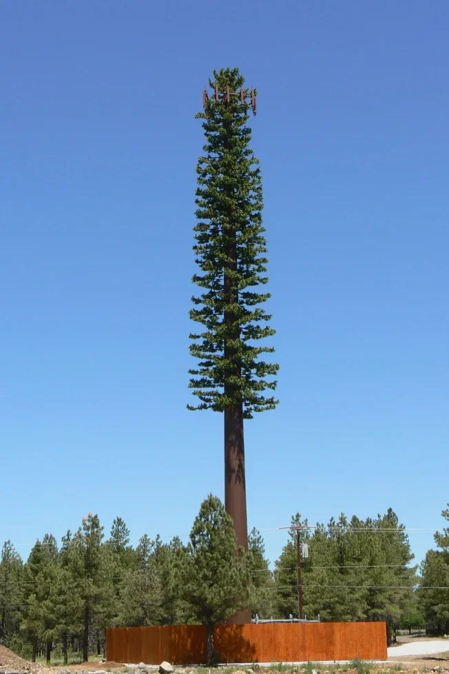 telephone-pole-tree.jpg
