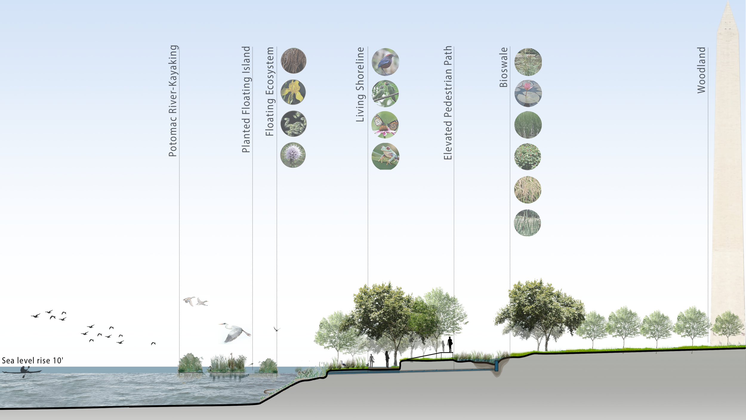  Floating islands and native plants by the River Walk restore the biodiversity at the waterfront 