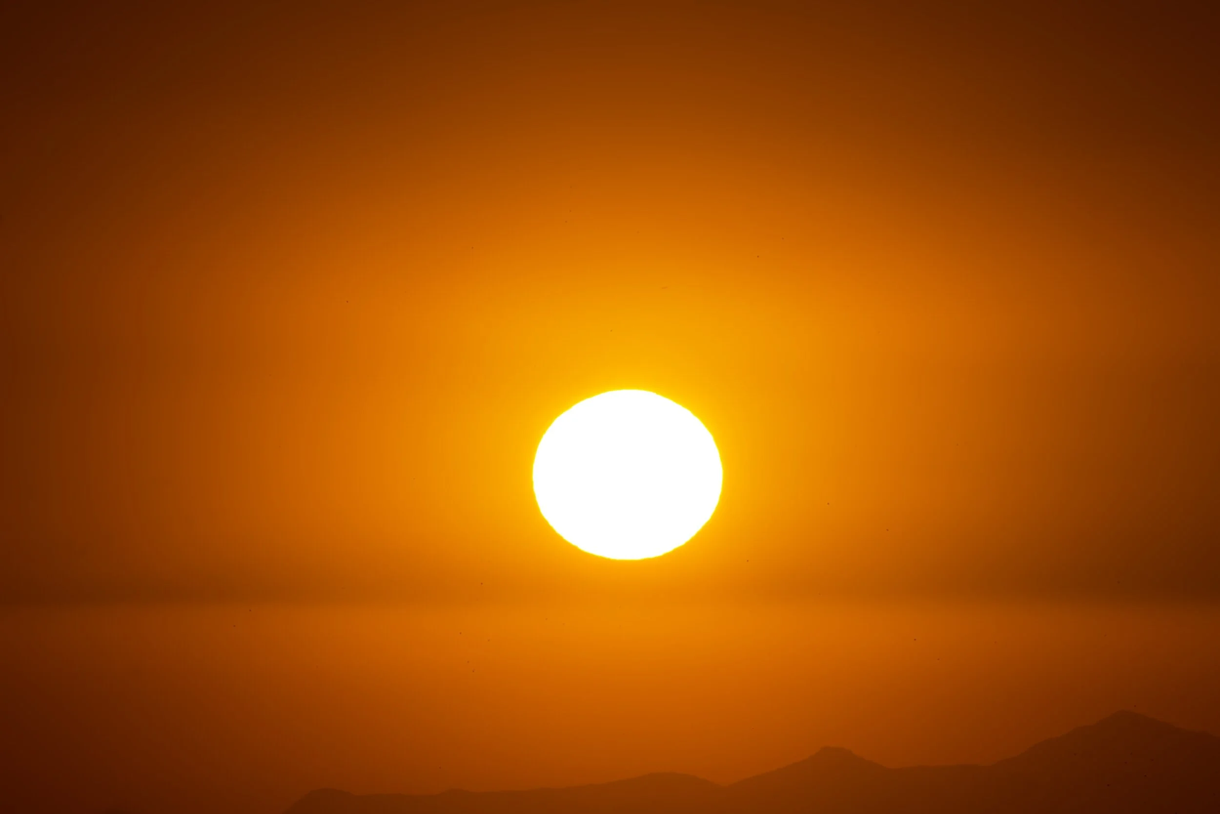 How to Stay Cool and Productive in the Heat (Corporate Wellness Tips)
