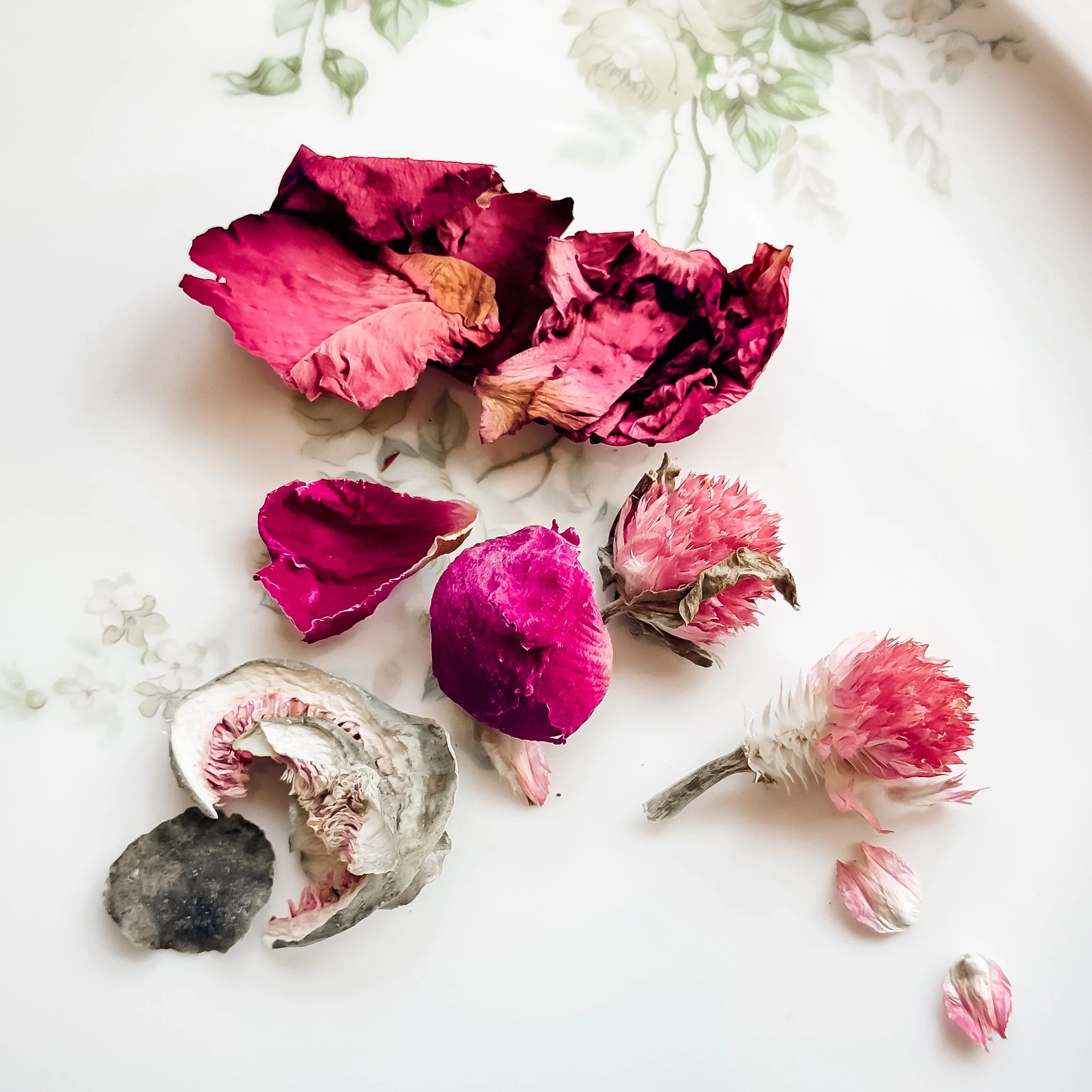 2026 Teen Fairytale Flower Farm Program