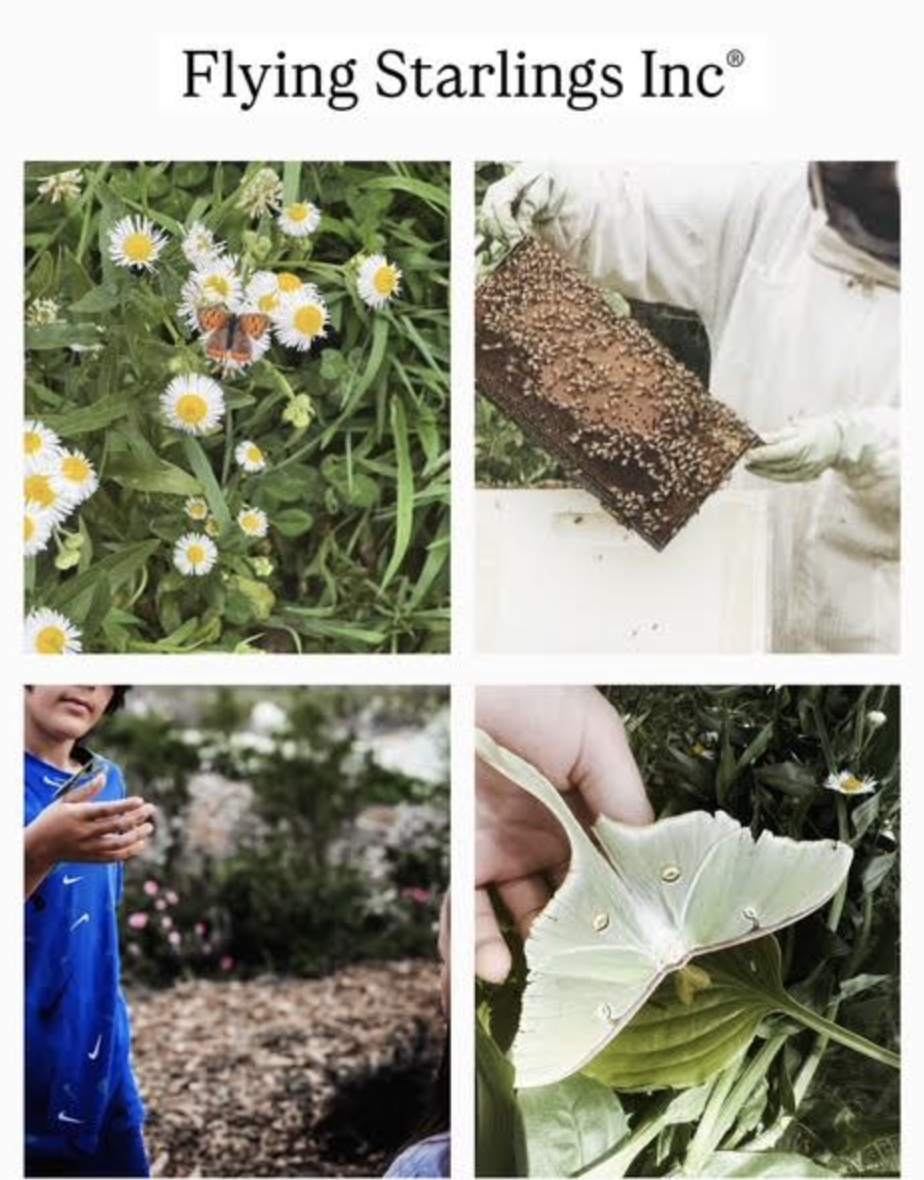 Screen Shot 2026-01-14 at 3.47.20 PM.png