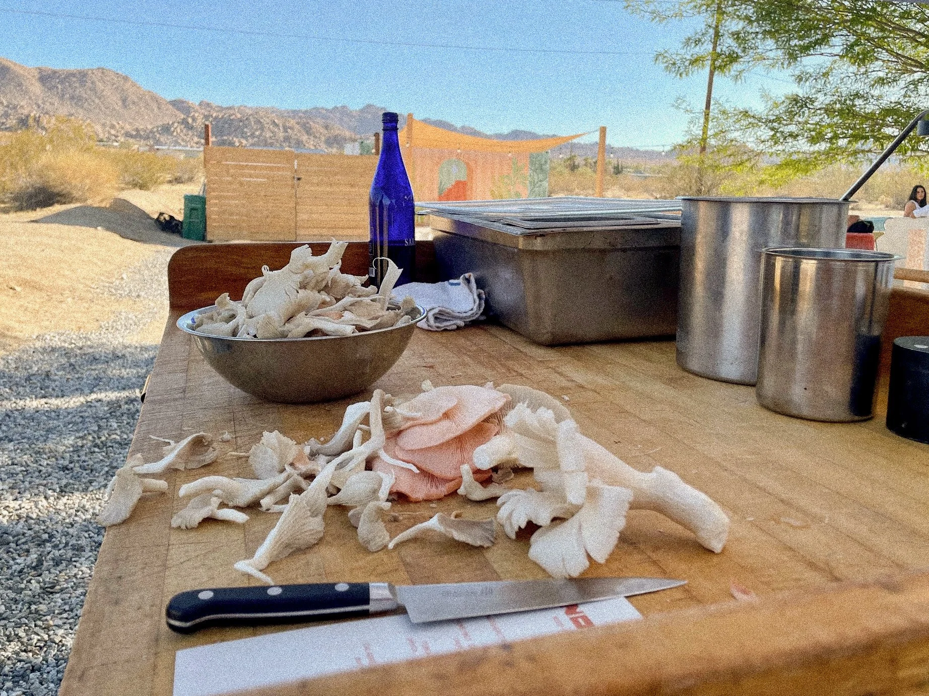 Noble Yeast mobile pizza setup in Palm Springs desert setting with custom menu design and ingredients