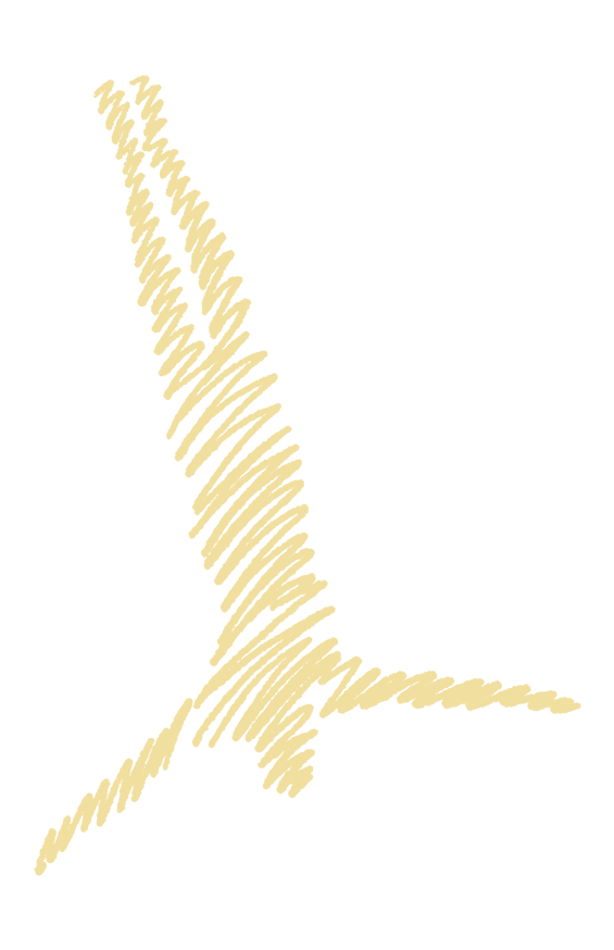 Scribble style diving figure graphic illustration for Splash House merch collection with arms spread out.