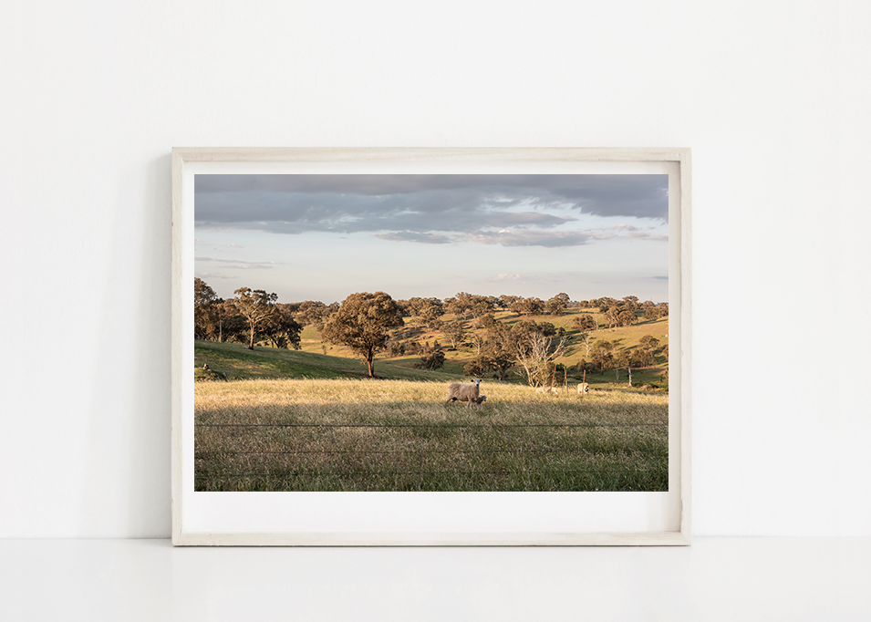 Screen Shot 2019-01-15 at 12.12.45 pm.png