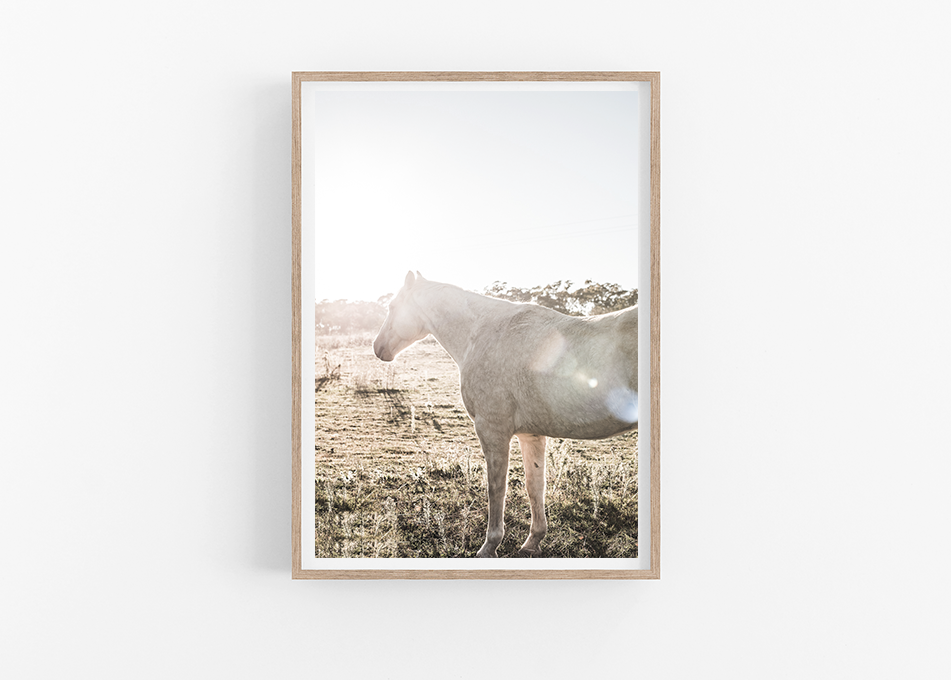 Screen Shot 2019-01-15 at 1.09.59 pm.png