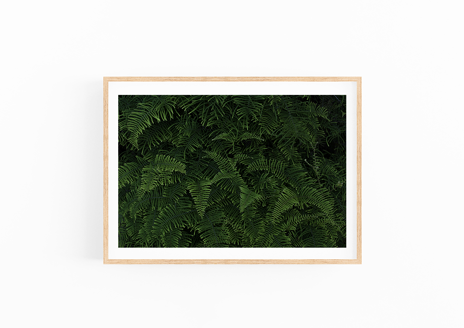 Screen Shot 2019-02-08 at 10.20.10 pm.png