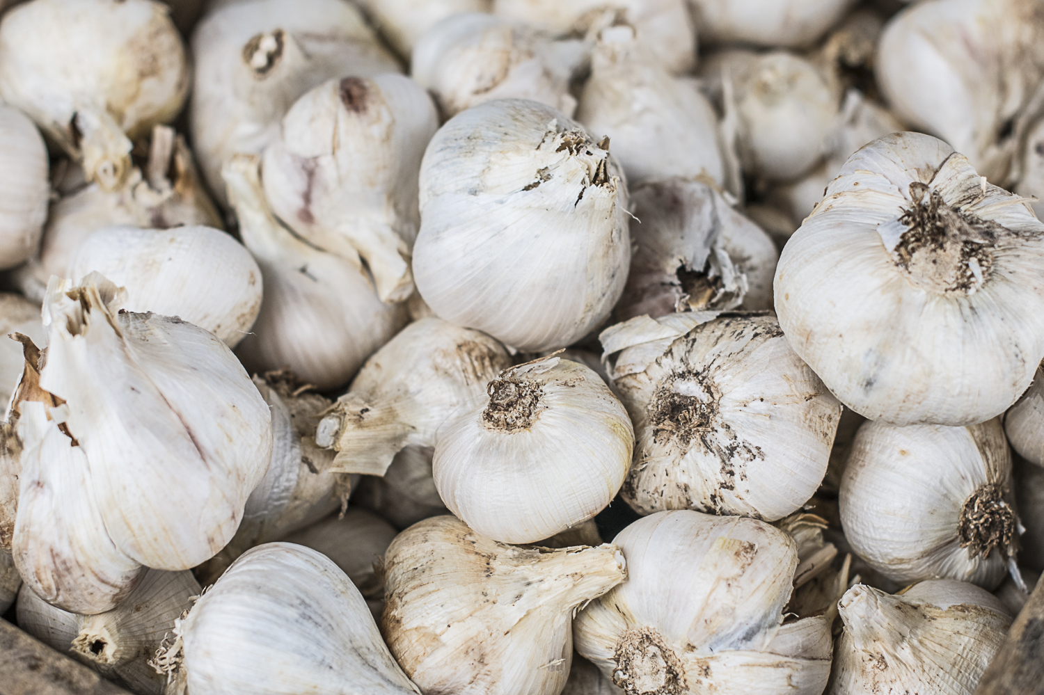 Food_ByronMarkets-7286.jpg