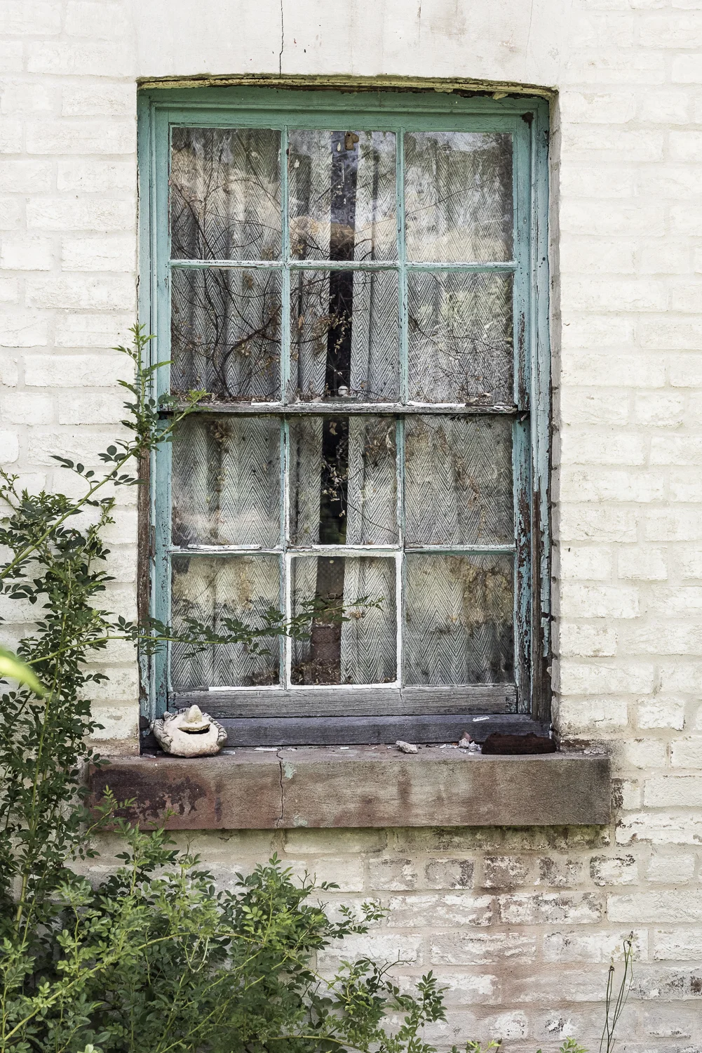 Carcoar-5495.jpg