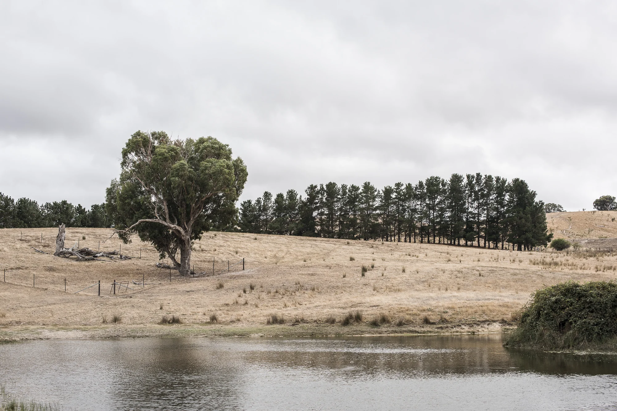 Binda2019-7378.jpg