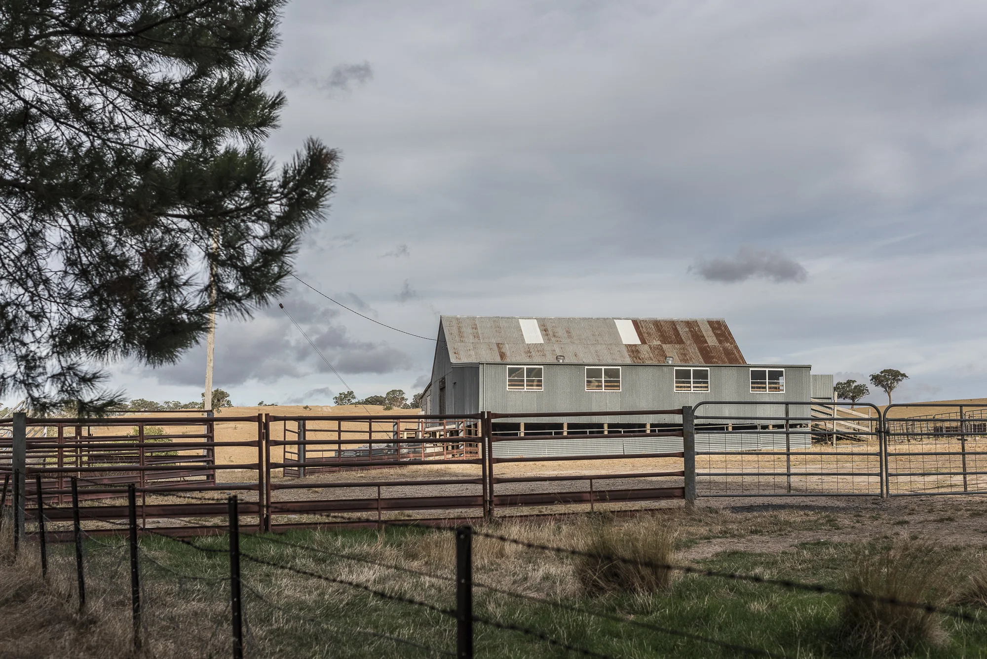 Binda2019-7616.jpg