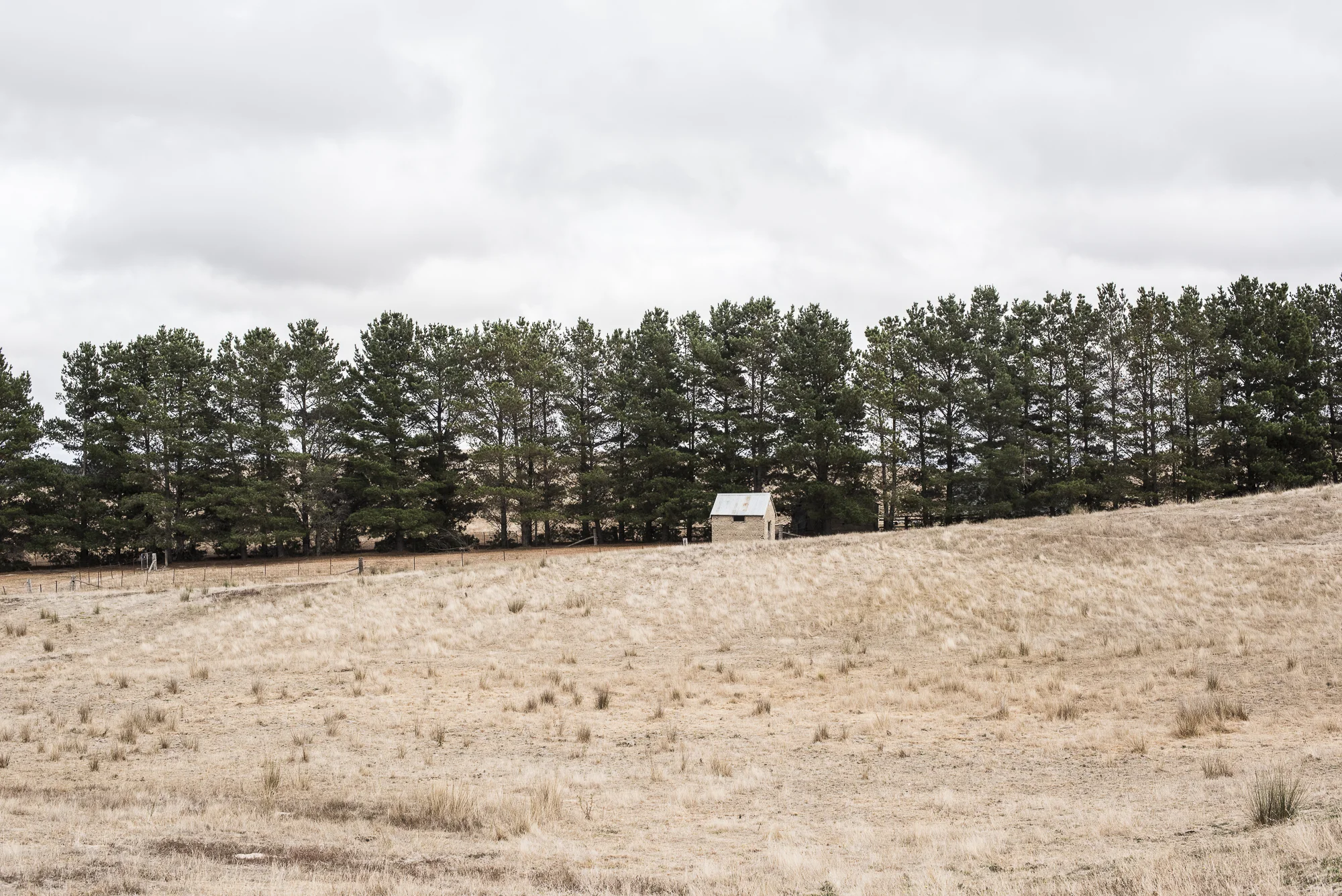 Binda2019-7377.jpg