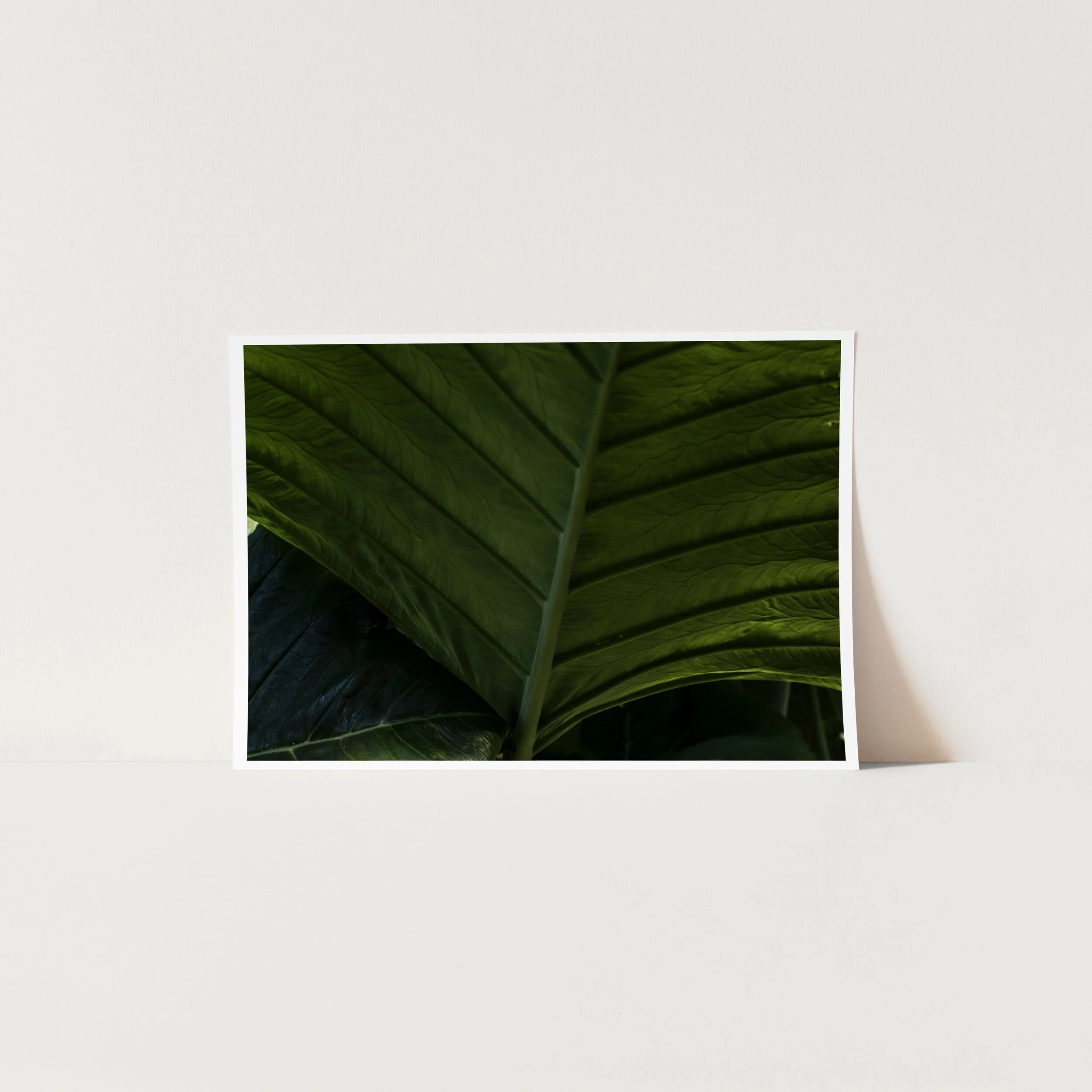 DeepGreen.jpg
