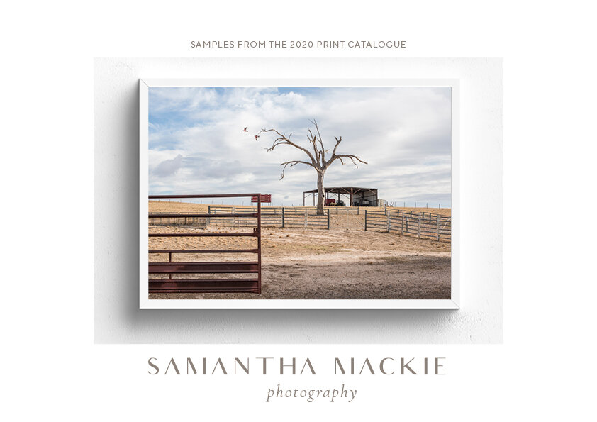 Samantha Mackie - Fine Art Print Frame Deliver Service -  Details & Catalogue 5.jpg