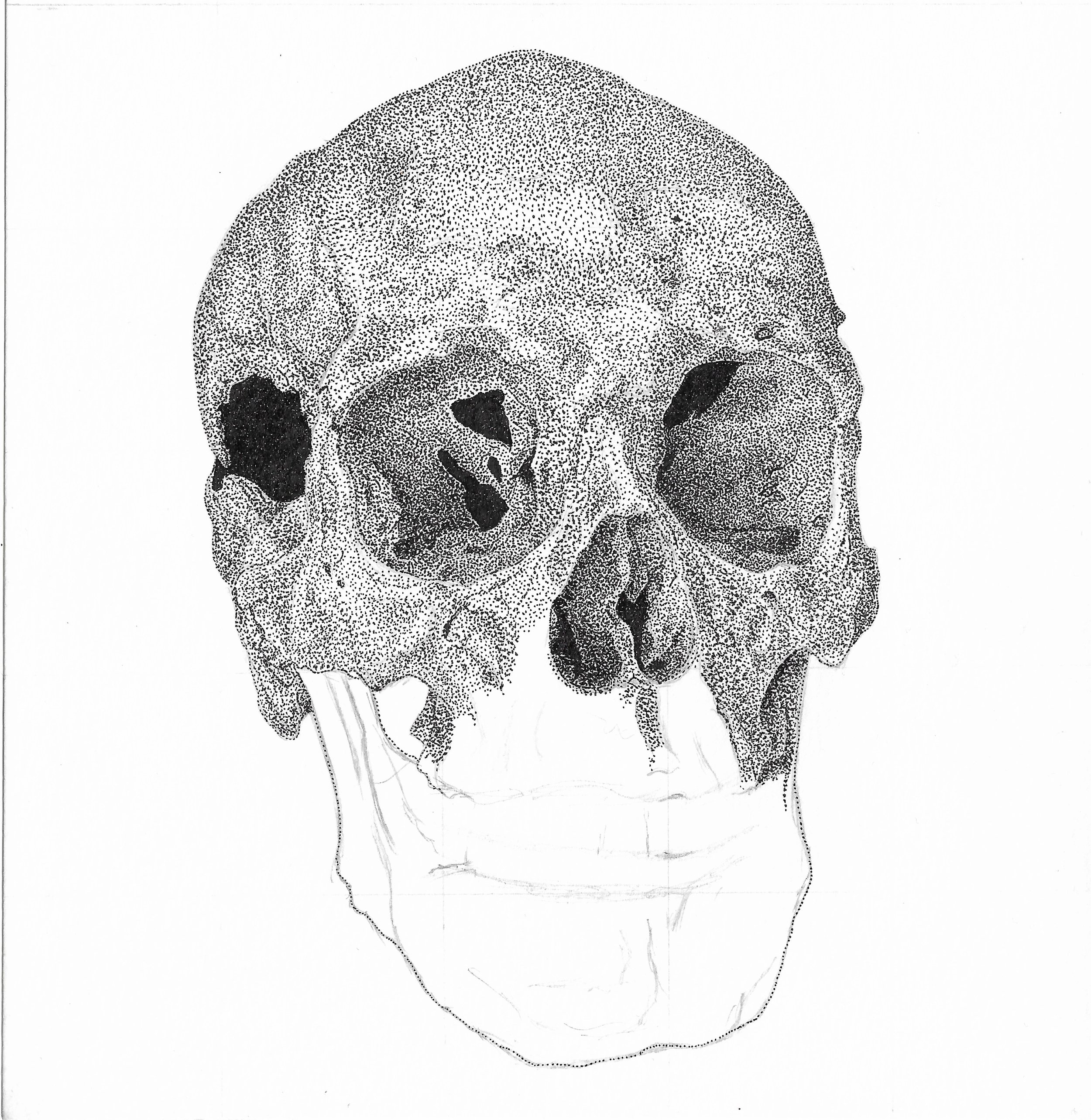 Skull with Bullet Wounds, 2021-22