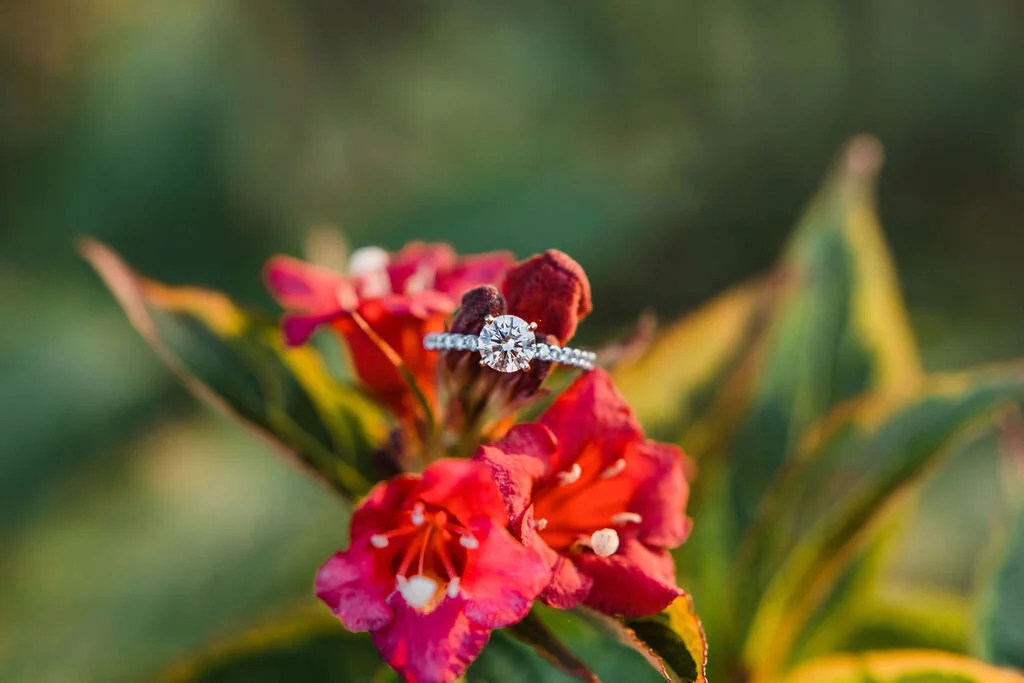 K&M_EngagementPhotos-55.jpg
