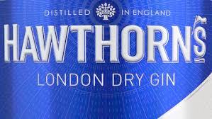 hawthorns gin beetle juice vw bar.jpeg