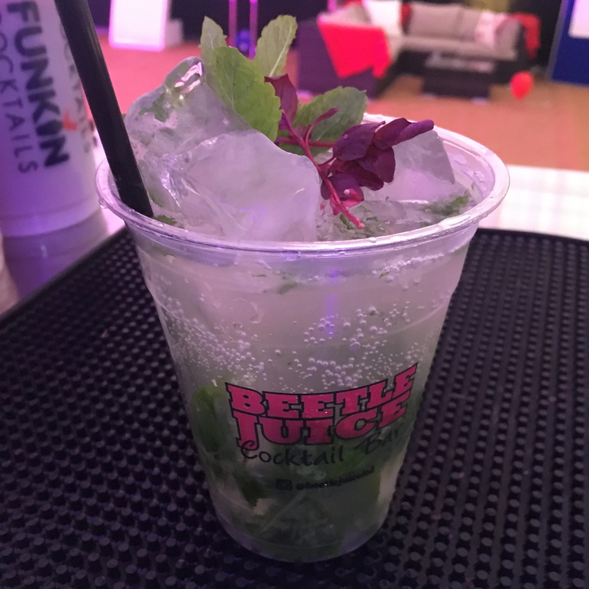 Copy of Mojito.jpg