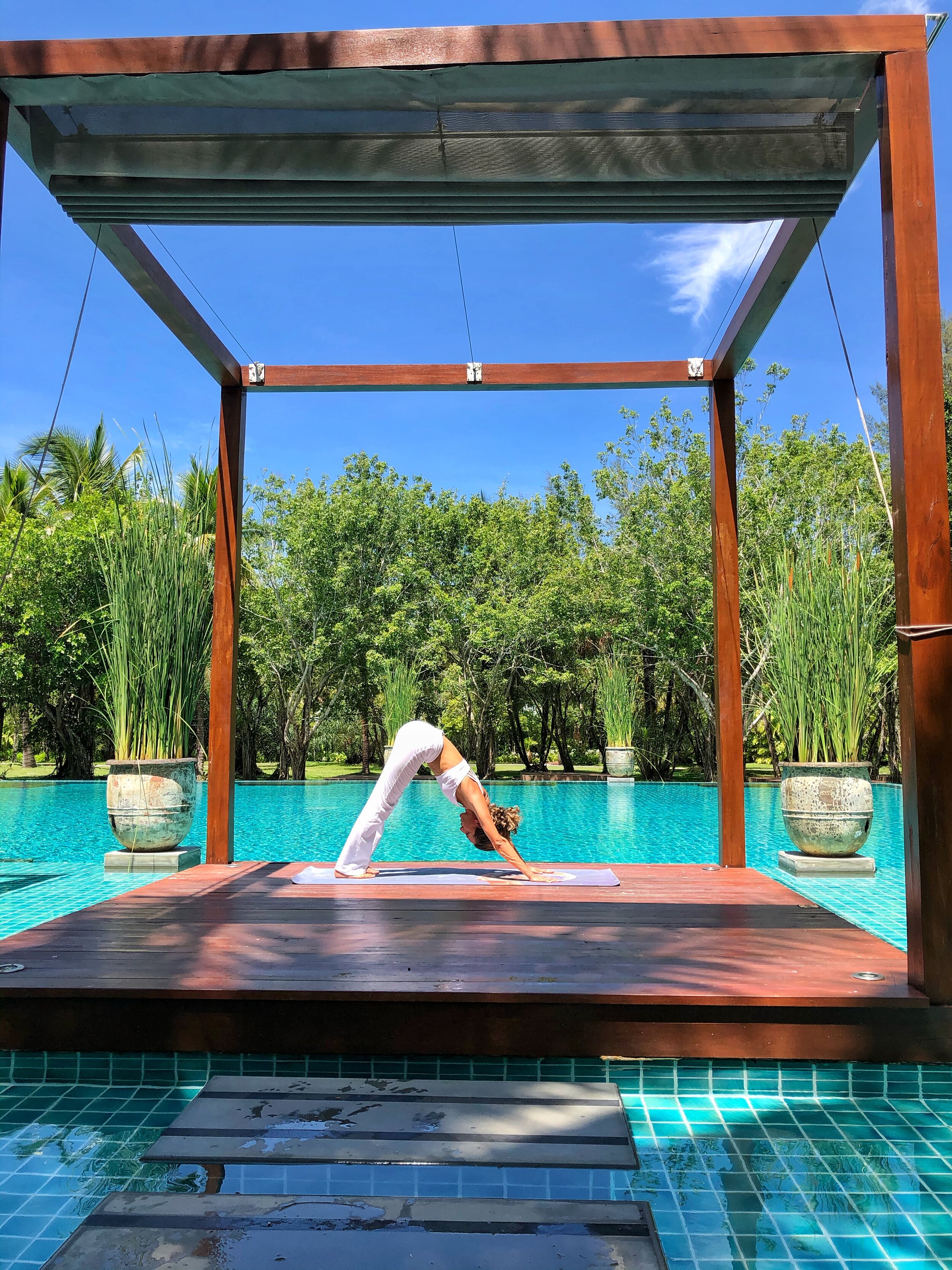 Virtual Yoga and Meditation classes