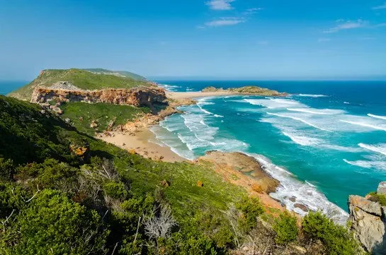 5 Bucket List Travel Destinations For 2026✈️

Here are five unforgettable destinations to put on your bucket list: South Africa&rsquo;s wild safaris and beaches; Japan&rsquo;s mix of ancient tradition &amp; modern marvels; sunny Florida for every kin