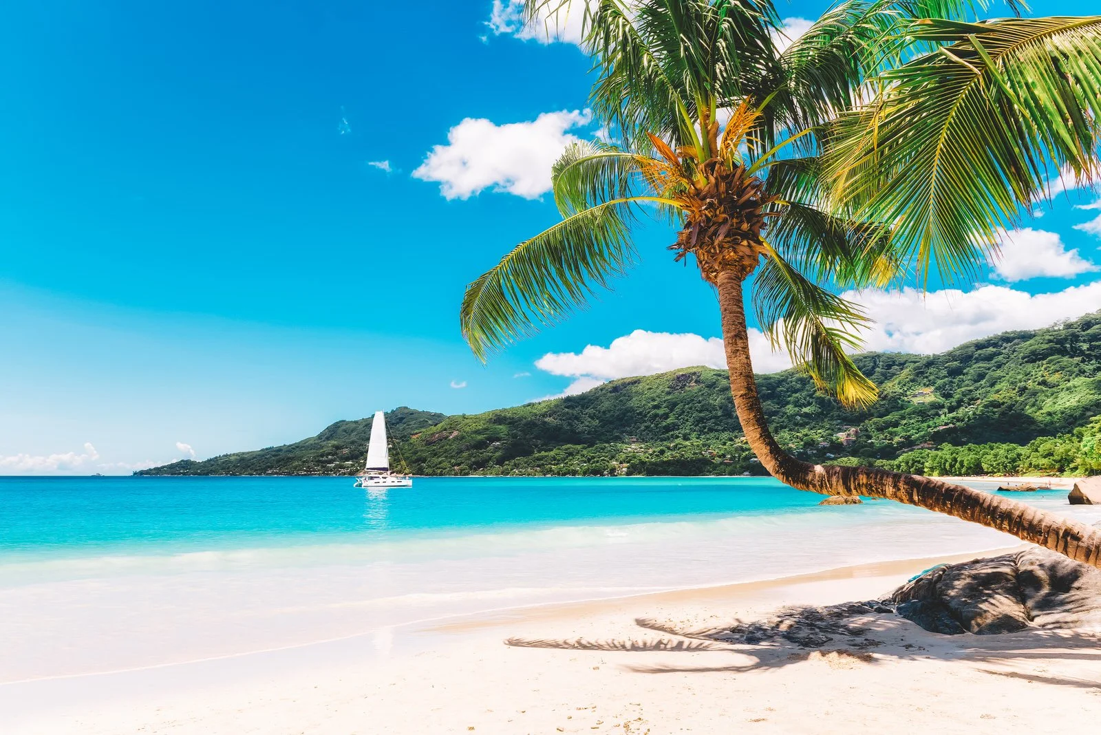 Escape to Paradise: Top Tropical Getaways to Inspire Your Next Trip