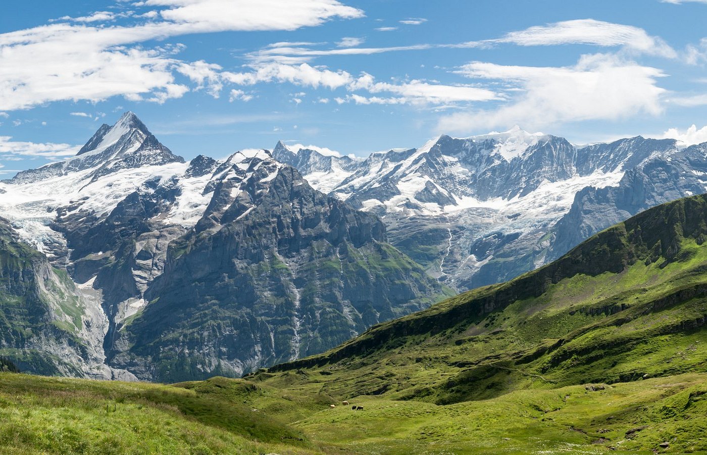 grindelwald.jpg