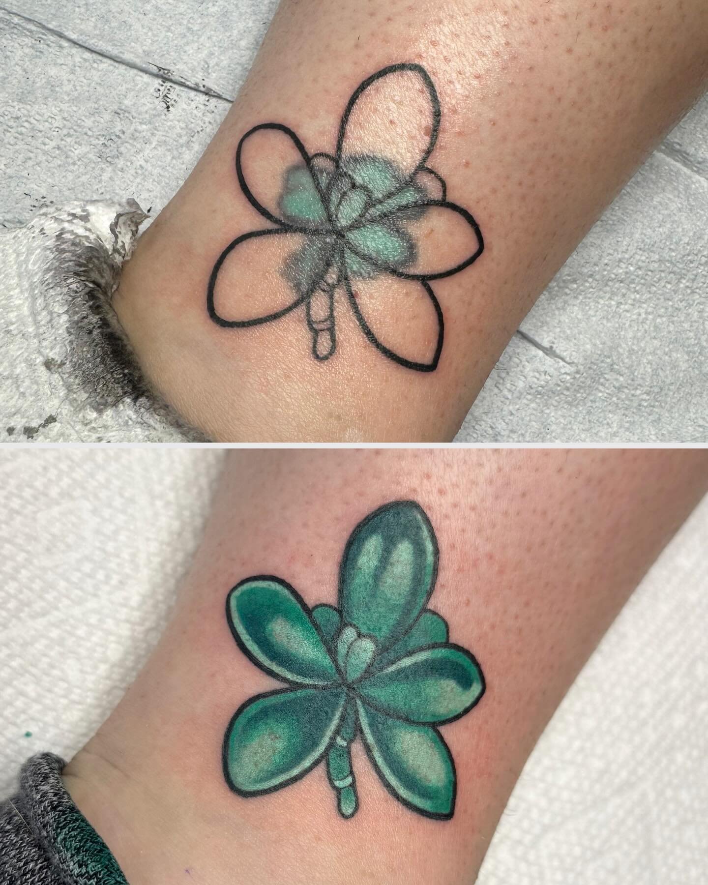 A lil cover-up on Cat from last week! A jade plant clipping in remembrance of her mom 💚 thanks so much Cat!

#parlorsuites #ohiotattooartist #columbustattooartists #colortattoos #planttattoo #jadeplant #coveruptattoos