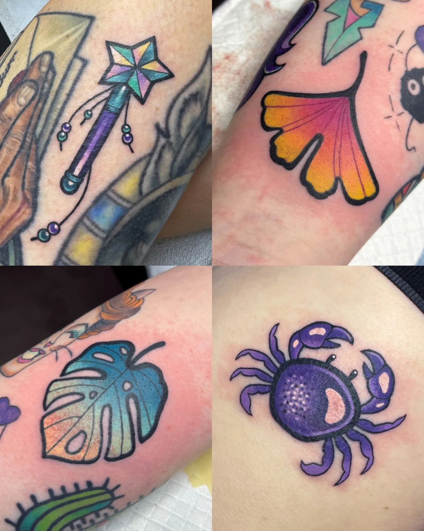 Some recent minis 💕

#parlorsuites #ohiotattooartist #columbustattooartists #colortattoos #smalltattoos