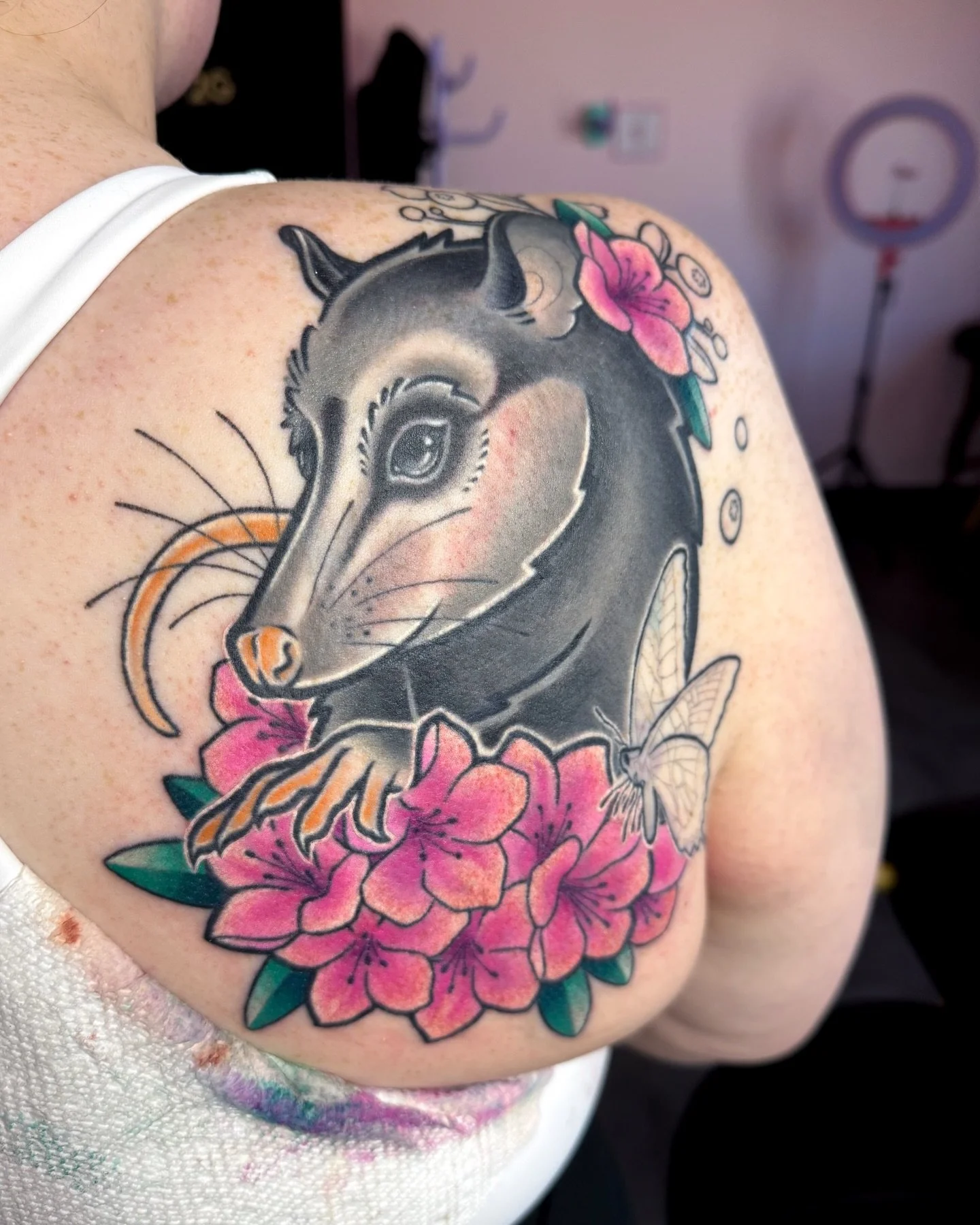 I took a month off between Dec/Jan and my visibility tanked accordingly 🤙 (Worth it.) It reminds me a lot of being an apprentice in the earlier days of Instagram, when I had the freedom to be experimental without too many people watching yet. 

Half