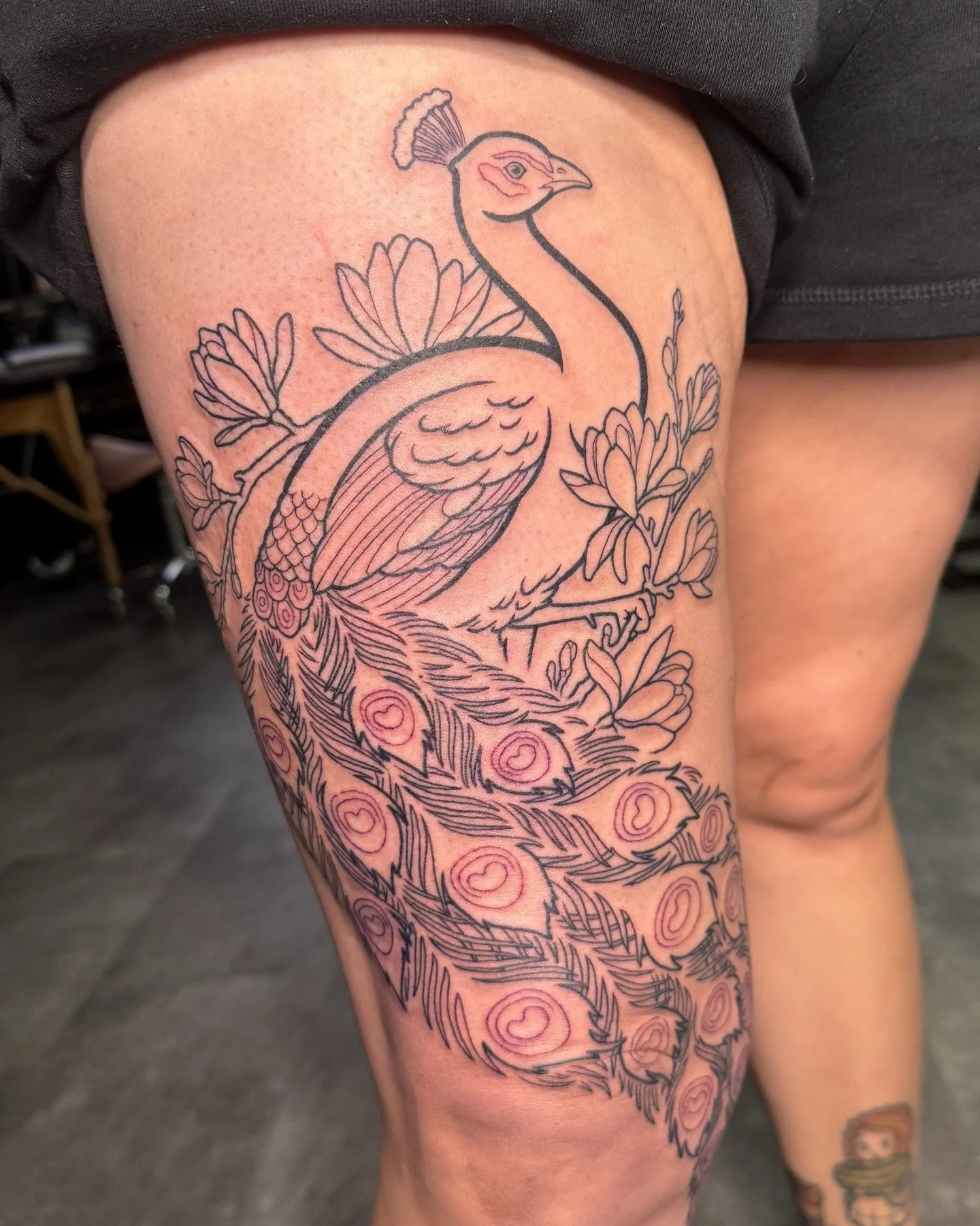Started a big peacock with some magnolias on Luz last week 🦚🌸 Thanks for sittin&rsquo; tough through all these lines!!! Can&rsquo;t wait to start the color 🌈 Thanks Luz! 💕

#ohiotattooartist #cutetattoos #colortattoos #birdtattoos #peacocktattoo