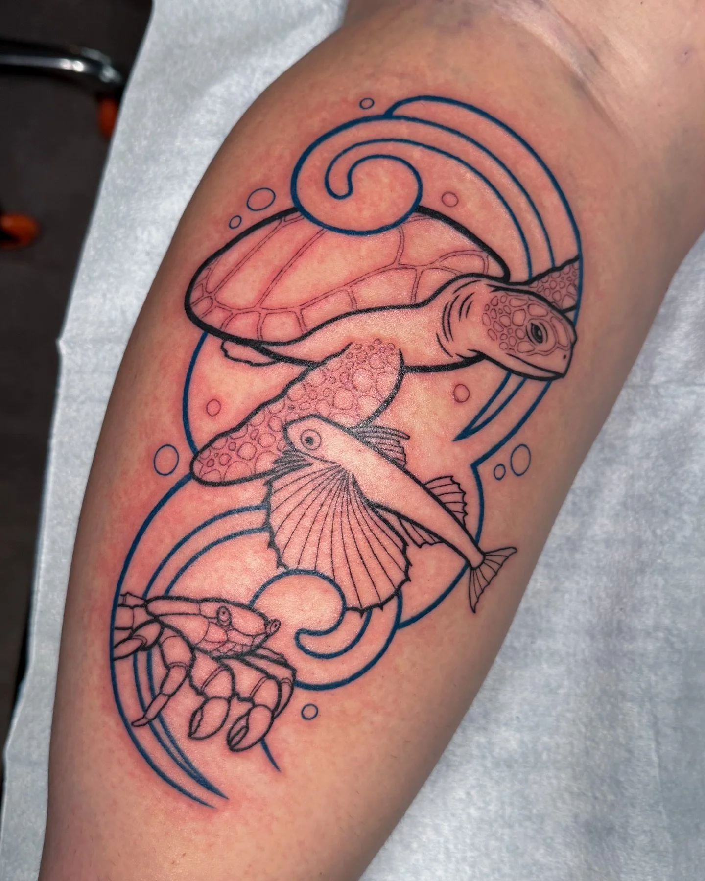 Started this ocean scene on Katie yesterday! A green turtle (intentionally missing a leg), a flying gurnard and a sally lightfoot crab &ndash; meaningful critters from past scuba dives 💙 Can&rsquo;t wait to fill this in, thanks Katie!! 🐢💕

#ohiota