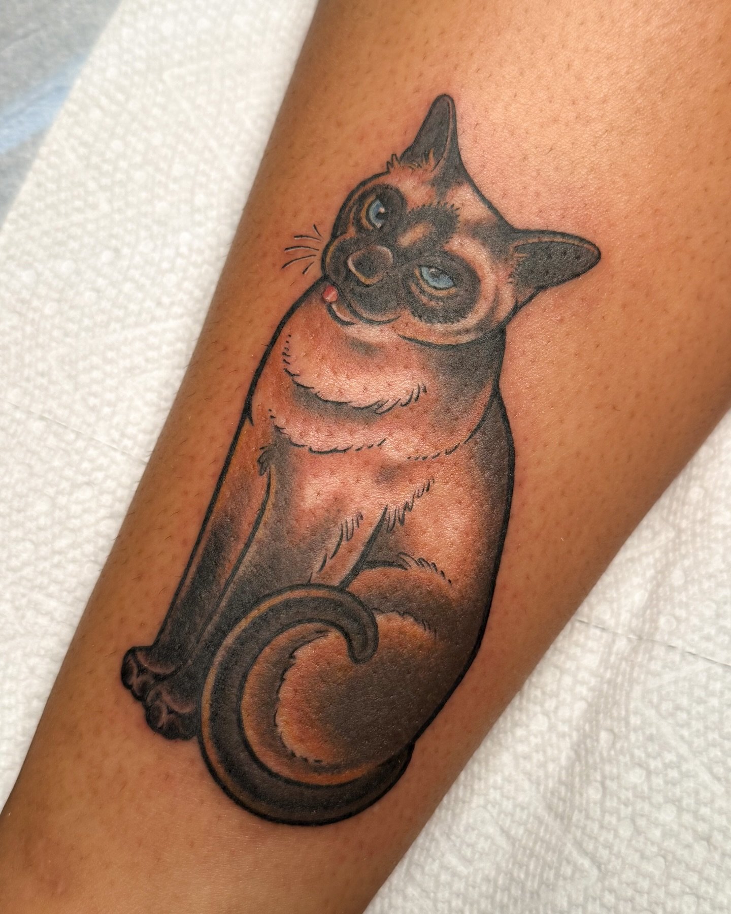 Bleppin&rsquo; Baxter for Joy 💕 thanks so much, Joy!!

#ohiotattooartist #cutetattoos #colortattoos #cattattoos #petportraittattoo