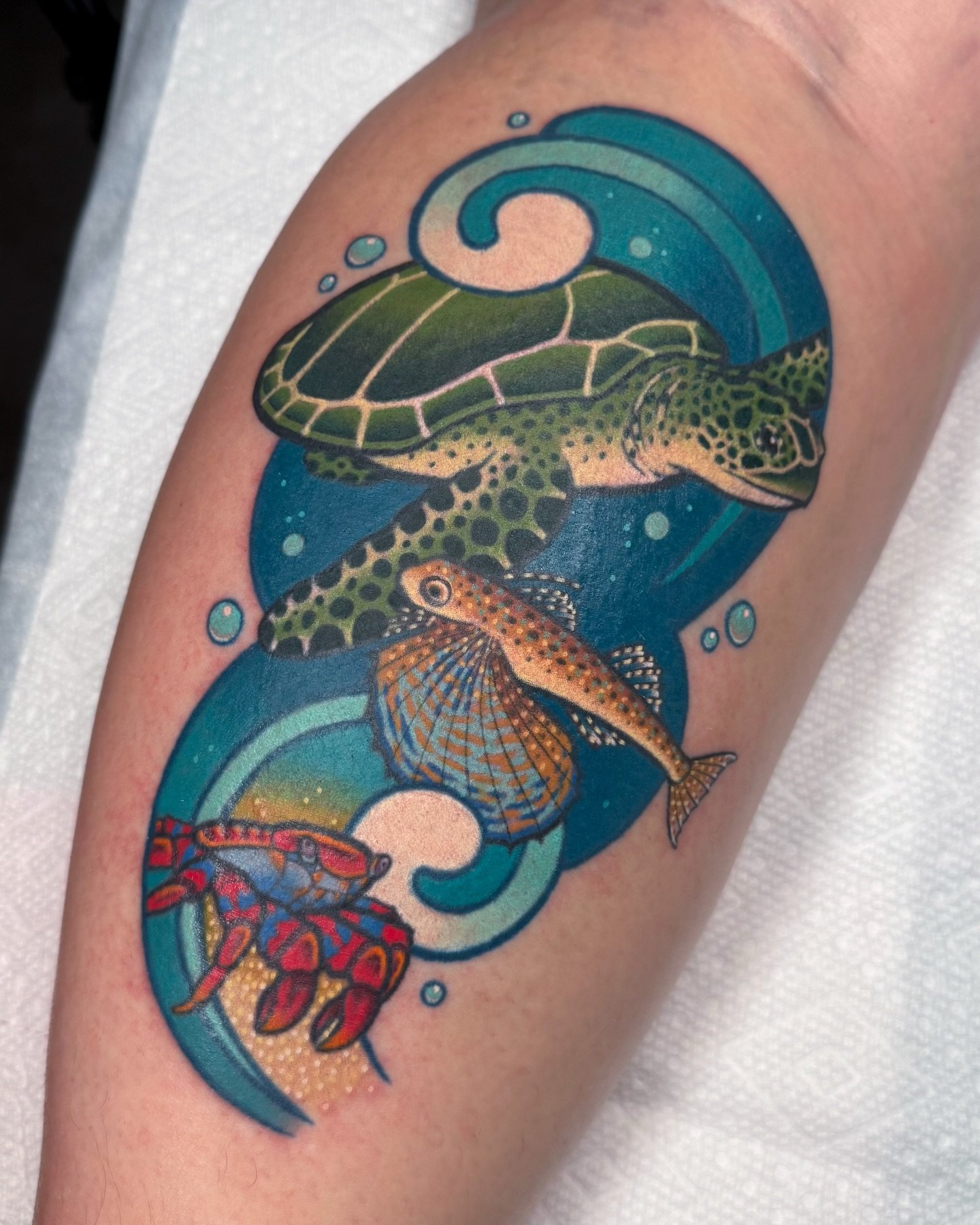 Finished this one up yesterday!! All of Katie&rsquo;s favorite scuba friends: a 3-finned sea turtle (we know they&rsquo;re brown, we made him green), a flying gurnard and a sally lightfoot crab 🐢💕 (Turtle and flying gurnard colors are fresh, everyt