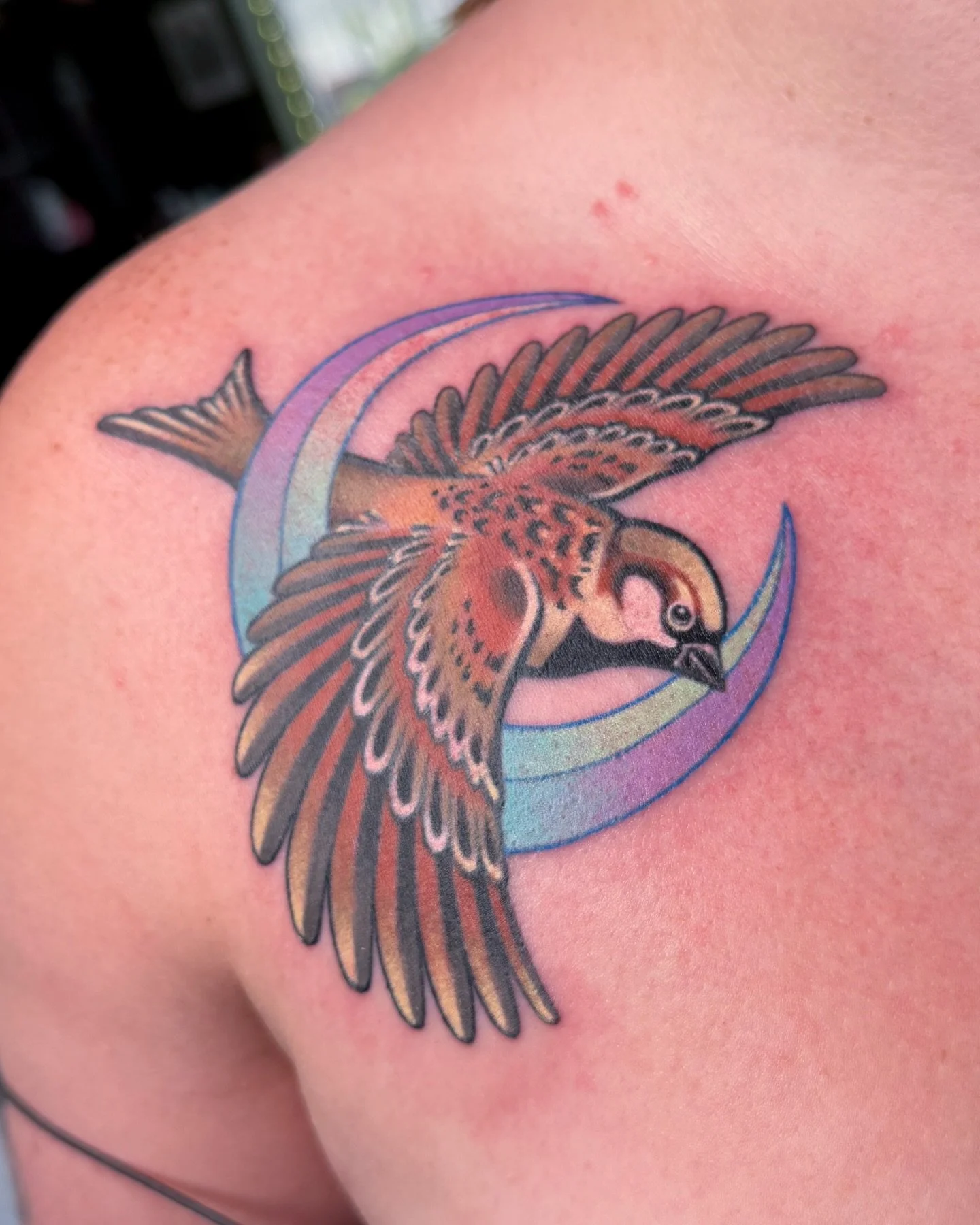 A diving sparrow for Lindsay &ndash; part of a larger chest adornment 🌙✨ can&rsquo;t wait for the other side! 😁 thanks Lindsay!

#ohiotattooartist #cutetattoos #colortattoos #sparrowtattoo #birdtattoos